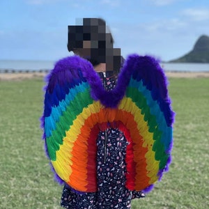 May include: A person wearing a rainbow feather angel wings costume with a purple trim. The wings are large and colorful, and the person is standing in a grassy field.