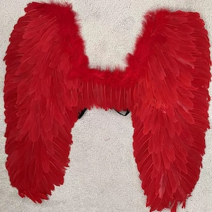 May include: A pair of red angel wings made of feathers. The wings are attached to a black elastic band.