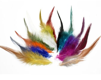 Soarer Colorful Craft Rooster Feathers - 300pcs 3-5inch Colored Feathers Bulk for Kindergarten DIY Crafts,Wedding Home Party