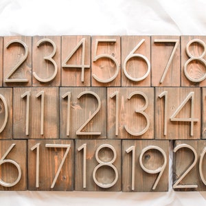 Peut inclure: Vingt blocs de bois, chacun affichant un num&eacute;ro de 1 &agrave; 20. Les chiffres argent&eacute;s sont mont&eacute;s sur des blocs de bois rectangulaires et teint&eacute;s. Id&eacute;al pour la d&eacute;coration int&eacute;rieure ou l'affichage de num&eacute;ros de maison.