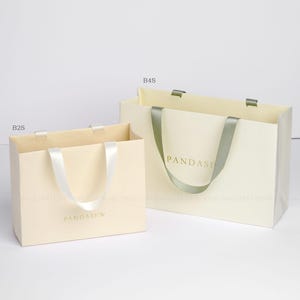 beige and cream paper bag horizontal style, gift package bag