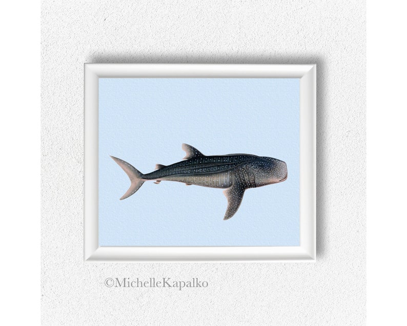 Download Poster Digital Paper Vintage Antique Whale Shark 8x10 Wall Art fish beach crafting Scrapbooking boy nursery card making labels tags