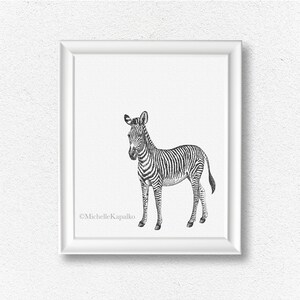 May include: A black and white line drawing of a zebra standing on a white background. The zebra is facing to the left and has a striped pattern. The image is framed in a white frame.