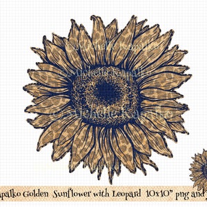 Könnte beinhalten: Eine goldene Sonnenblume mit Leopardenmuster. Die Sonnenblume ist in Marineblau umrandet und hat eine dunkelblaue Mitte. Das Bild ist 10x10 Zoll groß und hat 300dpi.