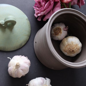 Pot à ail, récipient à ail aux couleurs naturelles de la forêt, poterie, artistique et unique