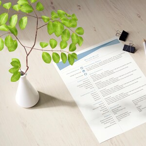 Resume Template / Curriculum Vitae (A4 and US sizes)