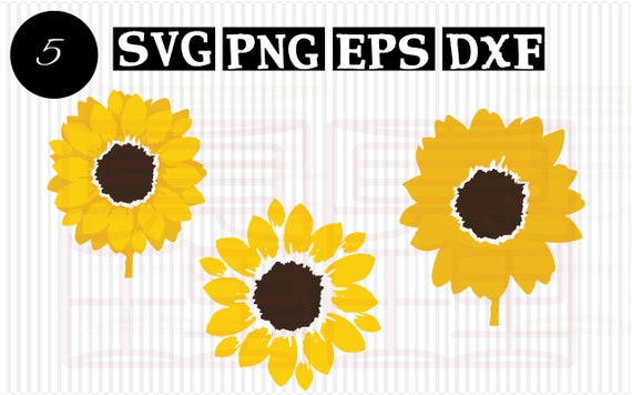 Items similar to Sunflower svg files bundle Sunflower Clipart