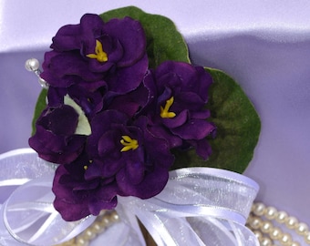 Simplicity in Bloom - African Violets
