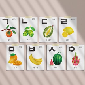 SOLO DIGITAL / Lindo hangeul hangul Coreano Frutas alfabeto flashcards / ilustración / impresiones / niños educativos / papel / Homeschooling flash cards