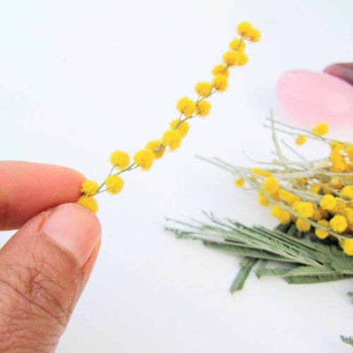Small Dried Flowers for Resin Dried Mimosa Flower for Resin Etsy