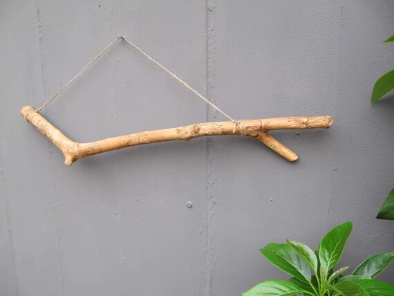 Weathered Olive Wood Hanging Branch 25 Christmas Etsy
