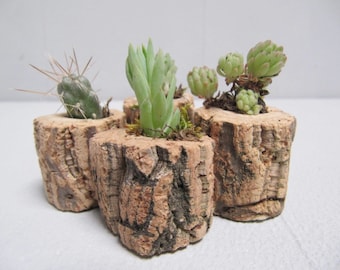 Mini Cactus Planter, Wooden Succulent Plant Pot Stand, Natural Home Decor, Hygge Decor, Air plant Holder