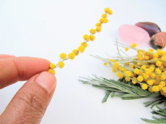 Small Dried Flowers for Resin, Dried Mimosa Flower for Resin