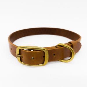 Vollnarbenleder-Hundehalsband - 1″ Breit, Massive Messing-Hardwares, Handgefertigt, für Mittelgroße Hunde