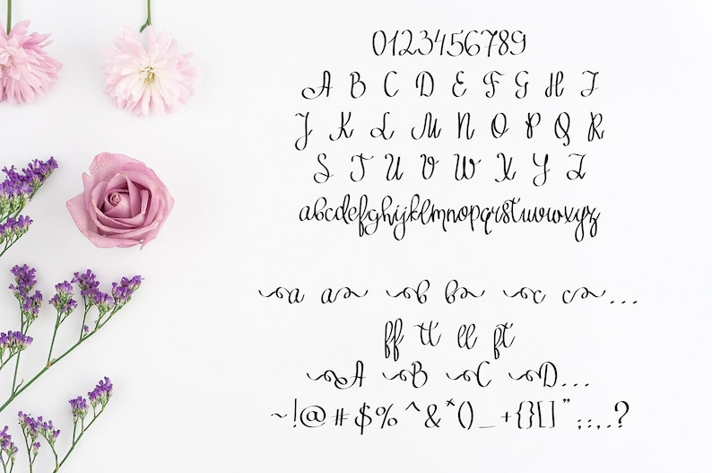 Font .ttf .otf Digital Font Swirly Font Script Font Digital Etsy