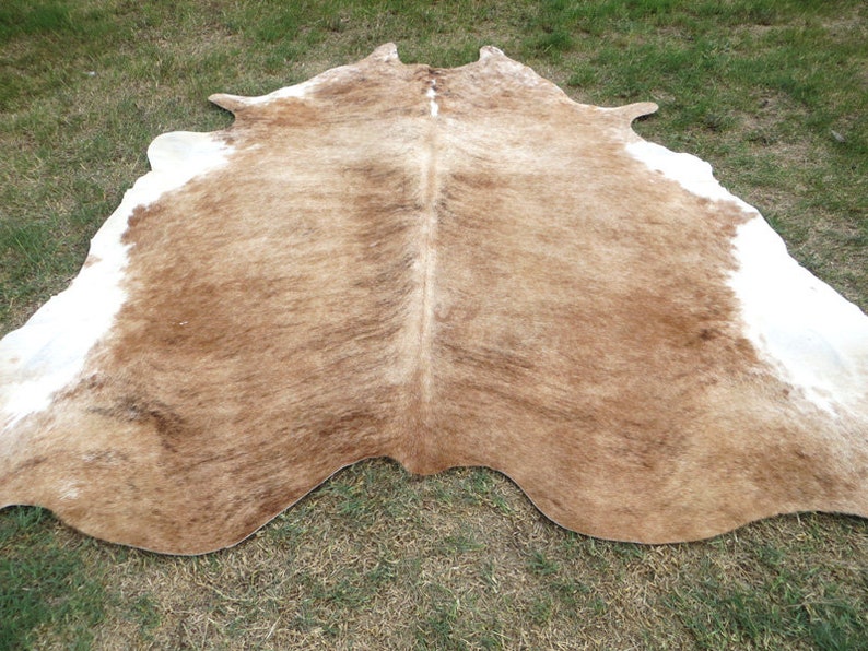 BRINDLE CARAMEL BROWN Large New cowhide rug natural hair on 7X7 ft size approx Tri-color brown tones soft hair Carpet Cow hide 6x6 Rc image 7