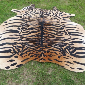 May include: A large, tan and black cowhide rug with a tiger stripe pattern. The rug is laid out on green grass, showcasing the natural hide's shape and design. The black stripes are bold against the tan background.