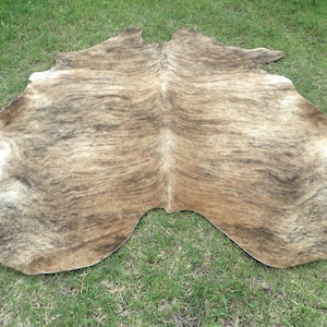 BRINDLE CARAMEL BROWN Large New cowhide rug natural hair on 7X7 ft size approx Tri-color brown tones soft hair Carpet Cow hide 6x6 Rc image 1