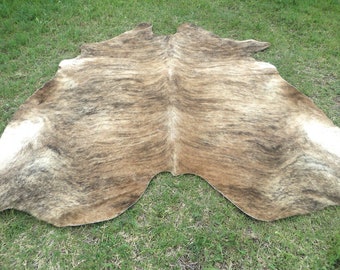 BRINDLE CARAMEL BROWN ! Large New cowhide rug natural hair on - 7X7 ft size approx Tri-color brown tones soft hair Carpet Cow hide 6x6 Rc