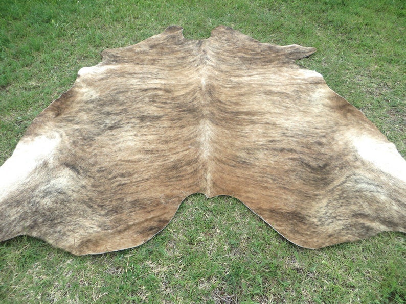 BRINDLE CARAMEL BROWN Large New cowhide rug natural hair on 7X7 ft size approx Tri-color brown tones soft hair Carpet Cow hide 6x6 Rc image 1