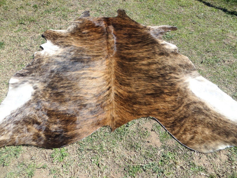 BRINDLE BROWN Large New Cowhide Rug Natural Hair on 6x6 Etsy