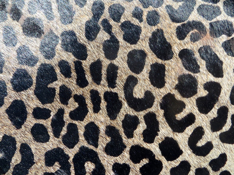 HUUUUGE LEOPARD Printed Cowhide Rug Genuine Natural Hair on Etsy