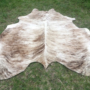 BRINDLE CARAMEL BROWN Large New cowhide rug natural hair on 7X7 ft size approx Tri-color brown tones soft hair Carpet Cow hide 6x6 Rc image 4