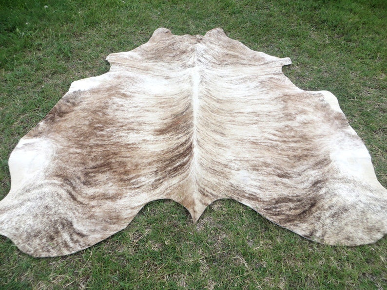 BRINDLE CARAMEL BROWN Large New cowhide rug natural hair on 7X7 ft size approx Tri-color brown tones soft hair Carpet Cow hide 6x6 Rc image 4