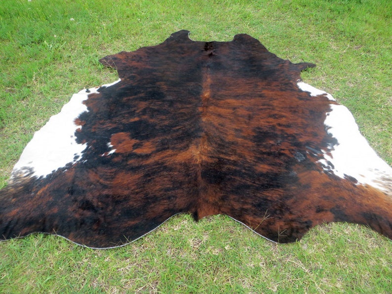 Tricolor BRINDLE REDISH BROWN Large New Cowhide Rug Etsy