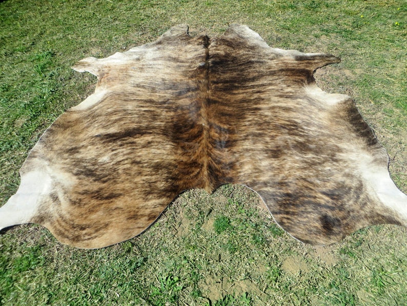 BRINDLE CARAMEL BROWN Large New cowhide rug natural hair on 7X7 ft size approx Tri-color brown tones soft hair Carpet Cow hide 6x6 Rc image 5