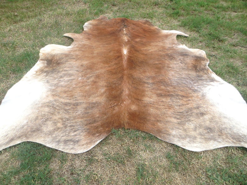 BRINDLE CARAMEL BROWN Large New cowhide rug natural hair on 7X7 ft size approx Tri-color brown tones soft hair Carpet Cow hide 6x6 Rc image 2