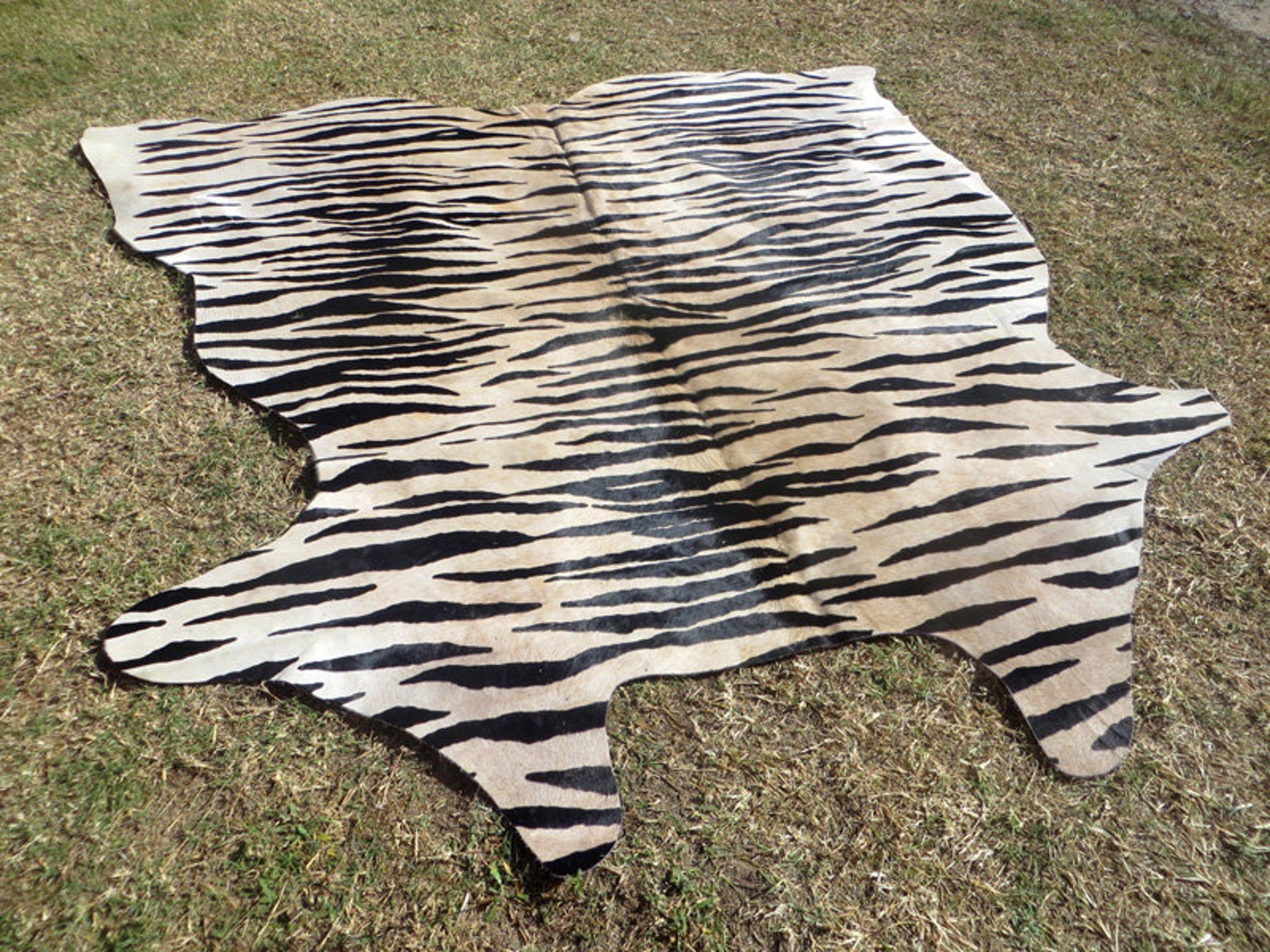 LARGE Exact Photo Rug Tiger cowhide rug natural hair on Etsy