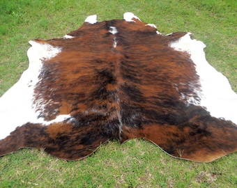 Tri-color BRINDLE REDISH BROWN  ! Large ! New cowhide rug natural hair on - 6x6 ft size approx  brown white soft hair Carpet  Cow hide Rts