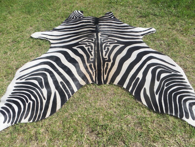 Large Zebra Cowhide Rug Natural Hair On Unique Gorgeous Etsy