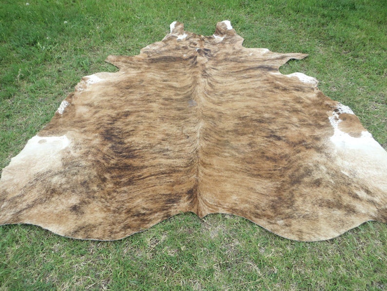 BRINDLE CARAMEL BROWN Large New cowhide rug natural hair on 7X7 ft size approx Tri-color brown tones soft hair Carpet Cow hide 6x6 Rc image 3