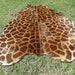 see more listings in the Printed Cowhide rugs section