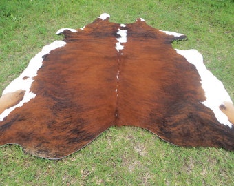 HEREFORD REDISH BROWN  ! Large ! New cowhide rug natural hair on - 6x6 ft size approx Tricolor brown tones soft hair Carpet  Cow hide W-H R