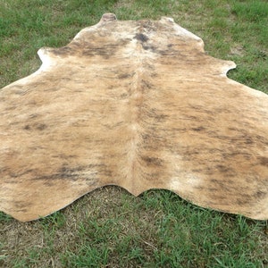 BRINDLE CARAMEL BROWN Large New cowhide rug natural hair on 7X7 ft size approx Tri-color brown tones soft hair Carpet Cow hide 6x6 Rc image 6