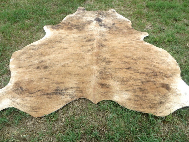 BRINDLE CARAMEL BROWN Large New cowhide rug natural hair on 7X7 ft size approx Tri-color brown tones soft hair Carpet Cow hide 6x6 Rc image 6