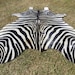 New ZEBRA printed cowhide rug Genuine Natural Hair on !! - LARGE !! black white beige brown  print printed soft  -ZbL 