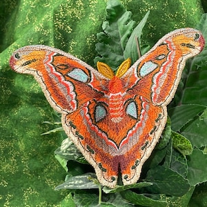 May include: A large, embroidered moth with orange, brown, and blue wings. The moth is set against a green background.