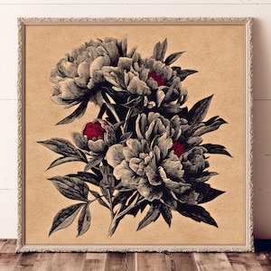 May include: A framed floral print featuring a detailed illustration of peonies. The artwork showcases black and white flowers with red accents against a tan background. The frame is a light color with a decorative edge, adding a vintage aesthetic.
