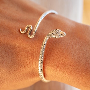 Könnte beinhalten: Ein silberfarbenes Armreif-Armband in Schlangenform, das um ein Handgelenk gewickelt ist. Der Schlangenkopf ist mit Schuppen detailliert, und der Schwanz windet sich um das Handgelenk. Das Armband ist aus glänzendem Metall.