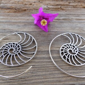 May include: A pair of silver hoop earrings with a nautilus shell design. The earrings are on a wooden surface with a pink flower.