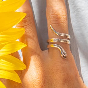 May include: A silver snake ring coiled around a finger. The ring has a snake head and tail design, with the body of the snake wrapping around the finger. The ring is worn on a hand, with a yellow sunflower in the background.