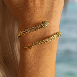 Op de afbeelding: Goudkleurige slangenarmband. De armband wikkelt zich om de arm, met een slangenkop aan één uiteinde en een staart aan de andere kant. De armband heeft een textuur, schubachtig patroon. De achtergrond is een wazig uitzicht op de oceaan.