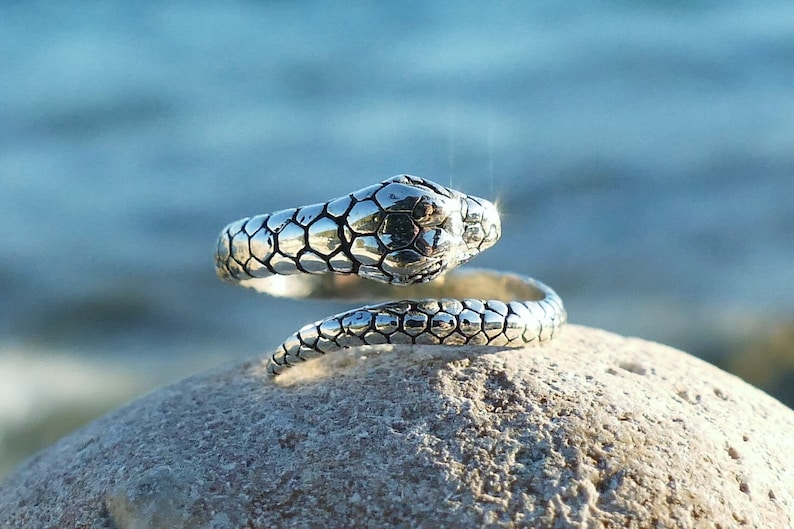 May include: A silver snake ring with a textured, scaly design. The ring is coiled and the snake's head is facing forward.