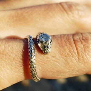 May include: A silver snake ring with a detailed head and a coiled body.