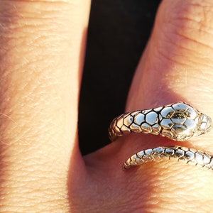 May include: A silver snake ring with a textured, scaly design. The ring is wrapped around a finger.