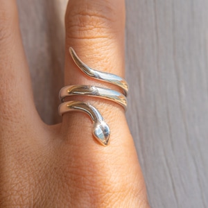May include: A silver snake ring with a coiled design. The ring is worn on a finger.